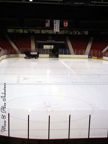 1980 Rink