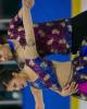 Ramful___Mohr_Jr_FD
