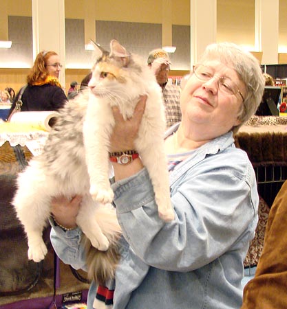 Preparing for the show