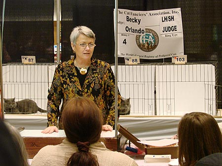 catshow8-beckyorlandotalkstoaudience