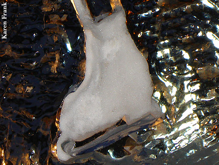 Ice Sculpture