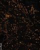 The lights...