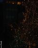 The lights...