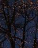 The lights