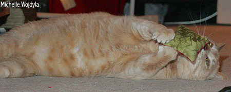 Hoover