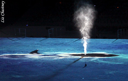Artistic portion of Opening Ceremony