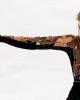Adam Rippon (USA)