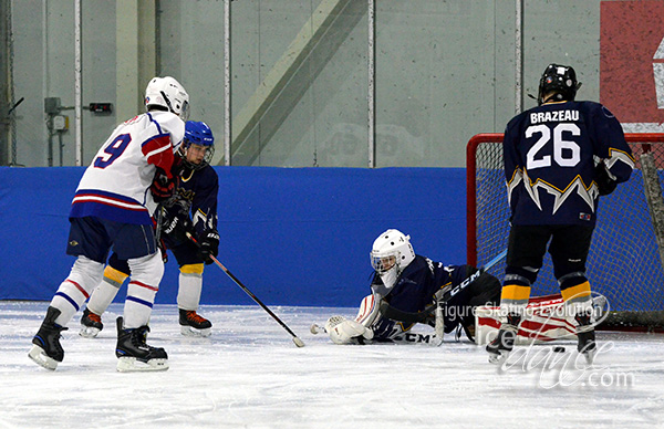 Hockey adapté team 